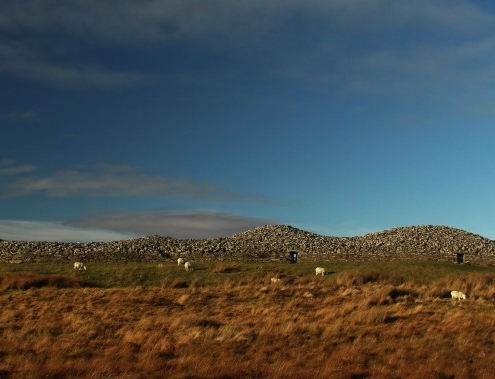 Camster - 5,000 yr old ancient settlement